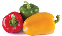 Bell Pepper