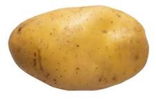 Potato